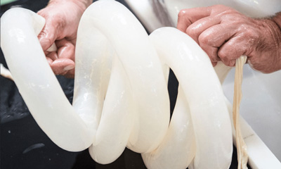 Place Your Order with Aria Casing